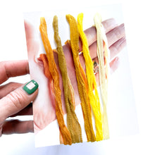 Load image into Gallery viewer, I.L.S.B. Bundle